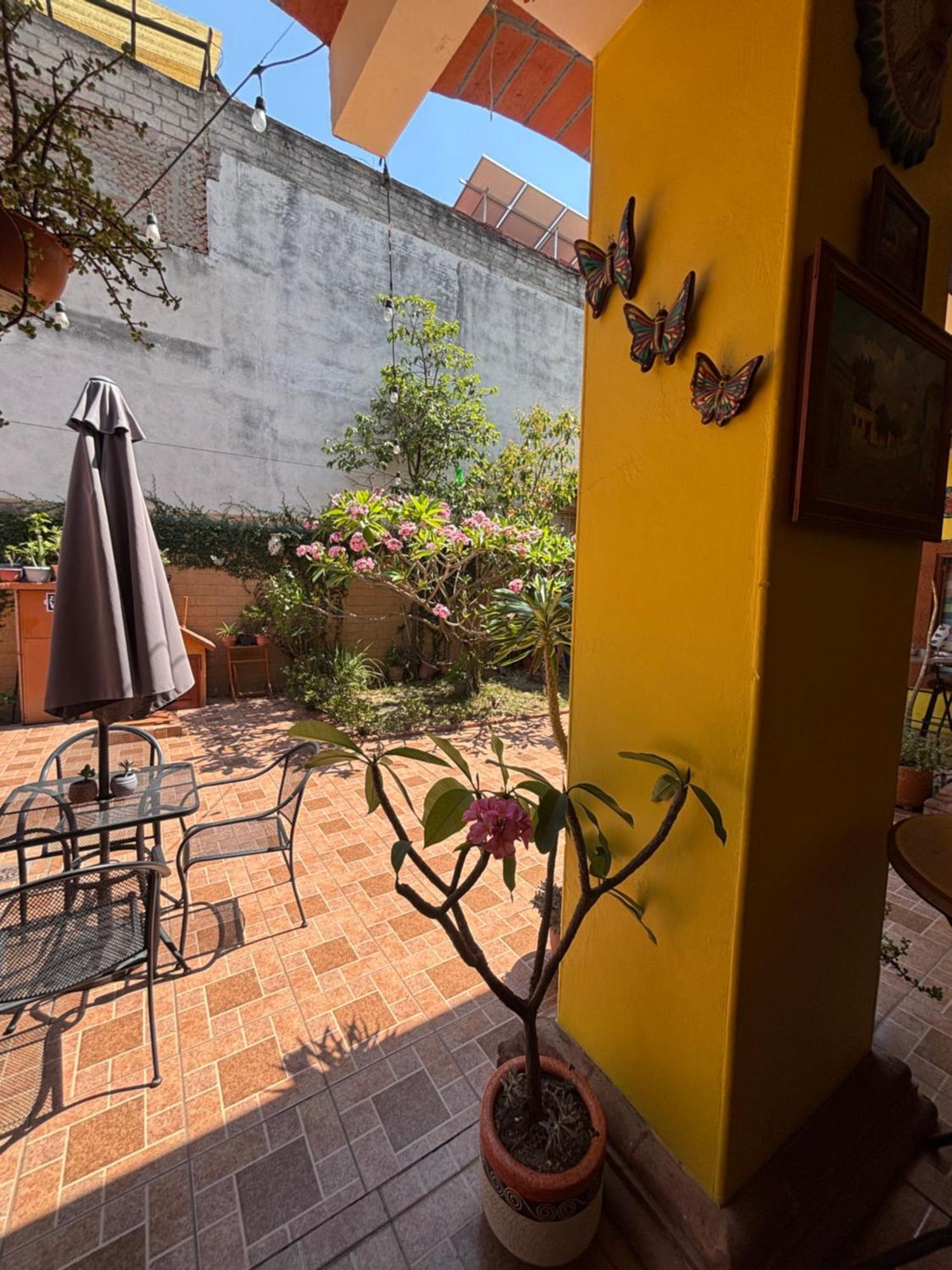 Hotel Posada "Mi Rosita" Oaxaca ภายนอก รูปภาพ
